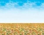 Themed Fadeless backing paper 12ft x 4 ft - Image 2