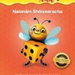 31468 Gafa Mata Nua Naionáin Shóisearacha paicéad CJ Fallon