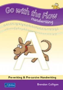 Go with the flow A Go with the Flow A (Jun. Inf.) Pack CJ Fallon - Image 1