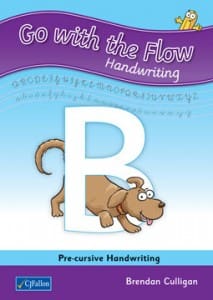 Go with the flow B 23890 Go with the Flow B (Sen. Inf.) Pack CJ Fallon - Image 1