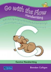 Go with the flow C 23906 Go with the Flow C (First Class) CJ Fallon - Image 1