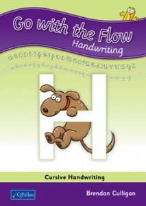 Go with the flow H 23951 Go with the Flow H (Sixth Class) CJ Fallon - Image 1
