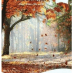 PI2246 Léigh Liom Level 10 White Pack (5 Books) Folens