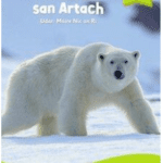 PI2253 Léigh Liom Level 11 Lime Pack (5 Books) Folens