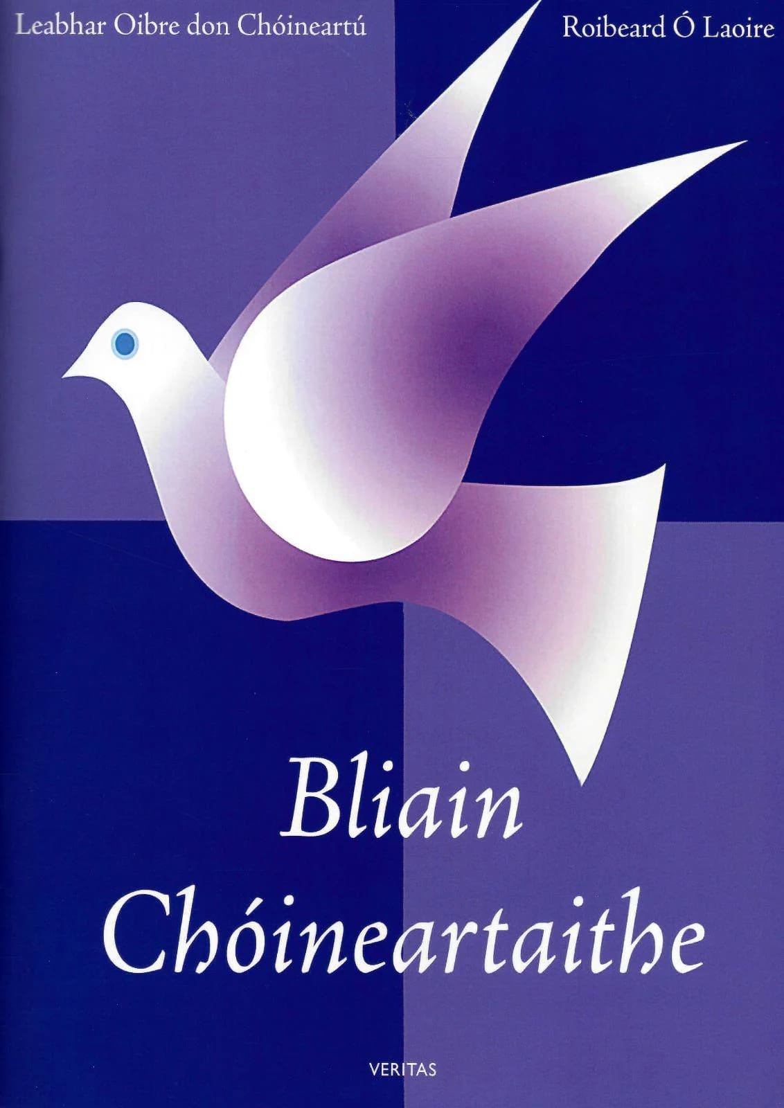 imgi_69_9781847300164front VE0162 Bliain Choineartaithe (Irish My Confirmation Year) Folens - Image 1