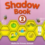 20066 Busy at Maths 2 - Shadow Book - 1st / Old Edition (2014) CJ Fallon
