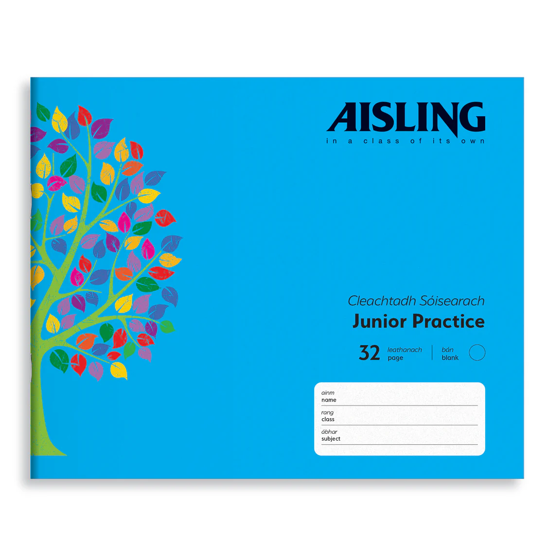 ASJ11-Aisling-Jotter-Copy-17x20-32PG-10-PK-Cover_2000.webp AISLING JUNIOR PLAIN COPY 32PG (ASJ11) - Image 1