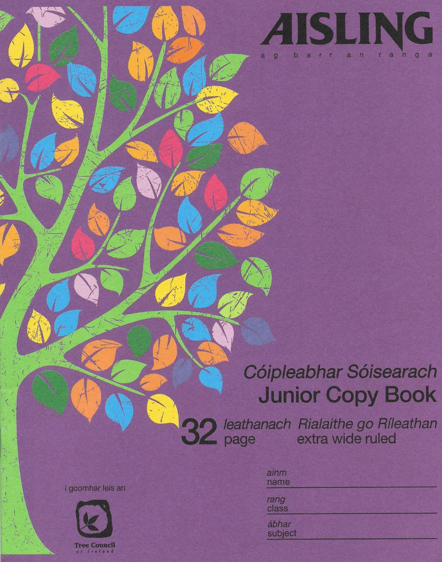Untitleddesign-2023-12-11T110202.753.webp Aisling Junior Copybook 32 Page - ASJ09 - Image 1