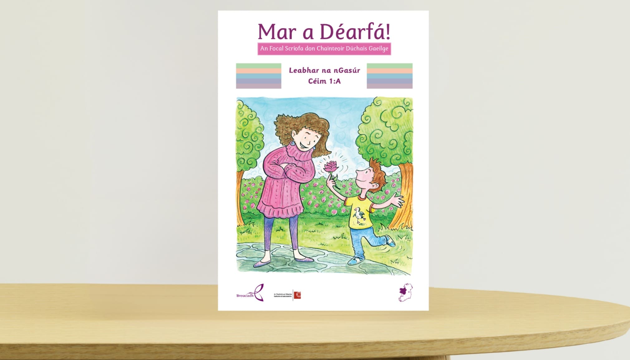 0kpdxcd2.jpg Mar a Déarfá Leabhar na nGasúr 1:A (C) - Image 1