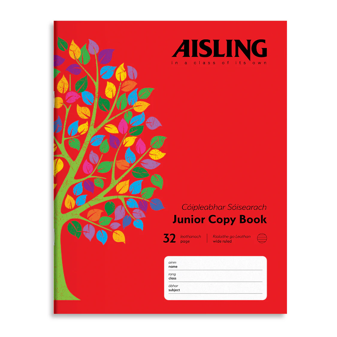 ASJ08-Aisling-Junior-Copy-20x16-32PG-10PK-Cover_2000.webp AISLING JUNIOR 10M WRITING COPY (ASJ08) - Image 1