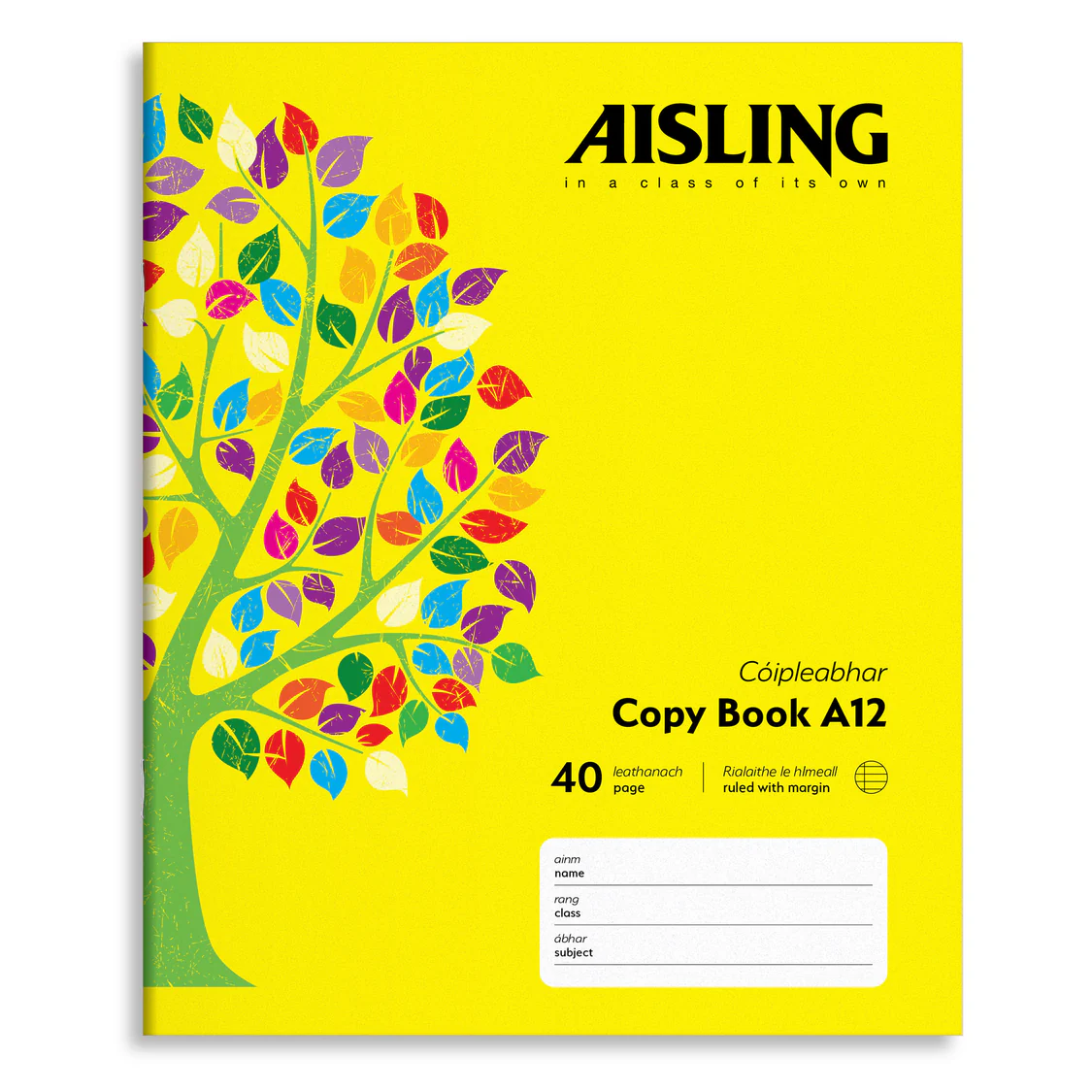 ASX2-Aisling-Copy-Book-20x16-40PG-10PK-Cover_2000.webp AISLING 40PG WRITING COPYBOOK (ASX2) - Image 1