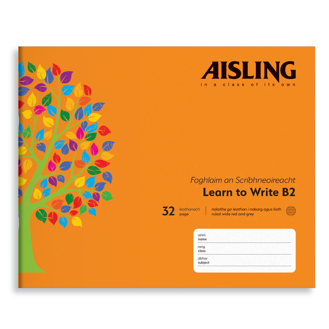 ASXB2-Aisling-Learn-to-Write-17x20-32PK-10-PK-Cover_2000.webp AISLING LEARN TO WRITE B2 32PG (ASXB2) - Image 1