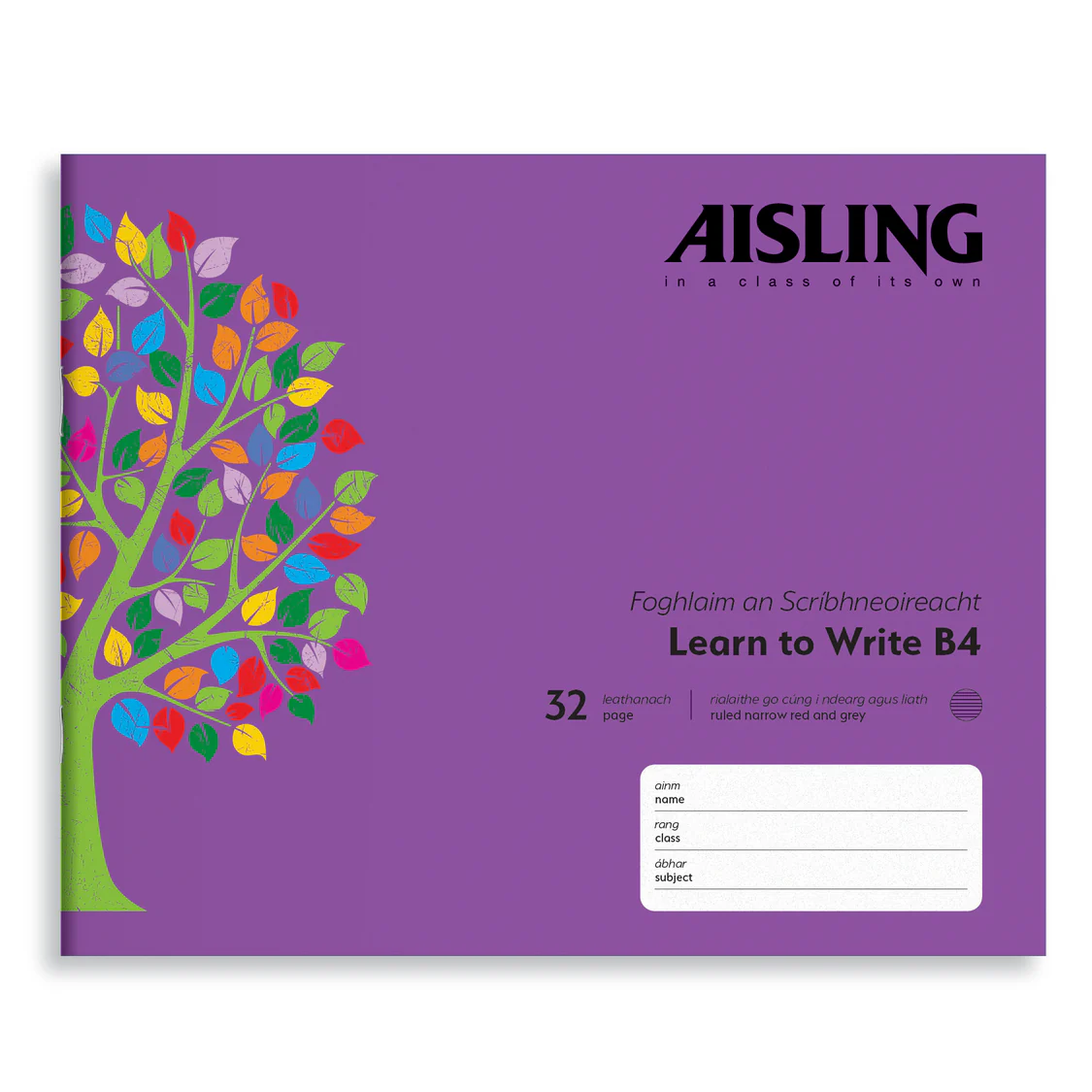 ASXB4-Aisling-Learn-to-Write-17x20-32PK-10-PK-Cover_2000.webp AISLING LEARN TO WRITE B4 32PG (ASXB4) - Image 1