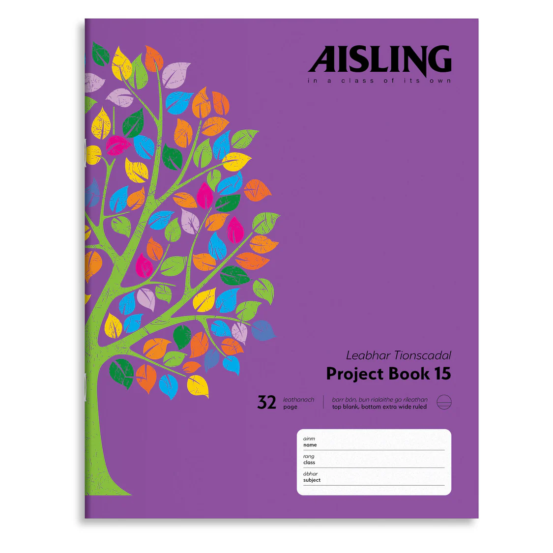 ASXP15-Aisling-Project-Book-229x178-32PG-10-PK-Cover_2000.webp AISLING JUNIOR PROJECT 15 COPY (ASXP15) - Image 1