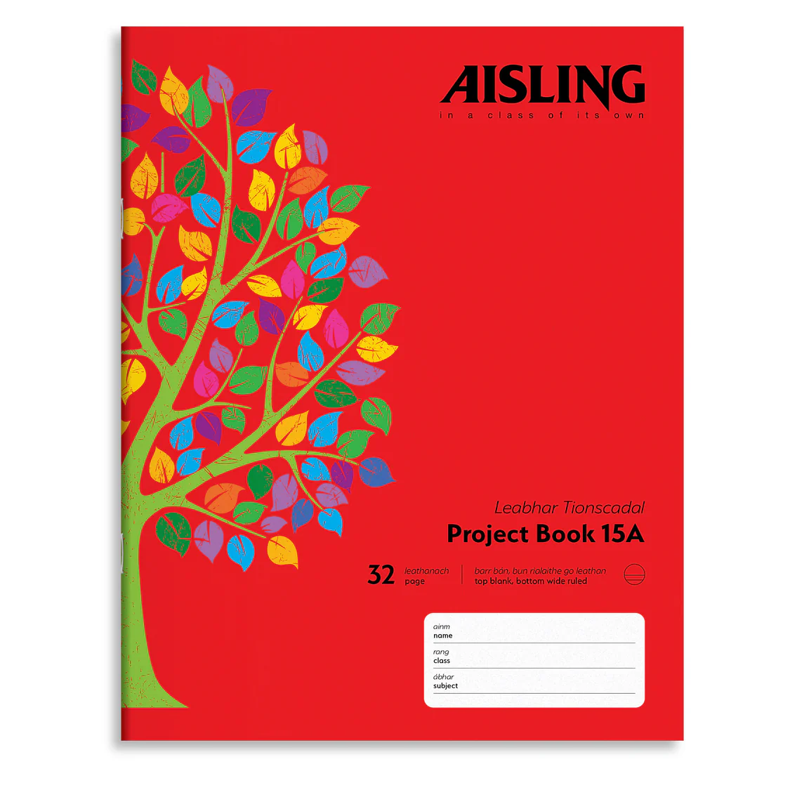 ASXP15A-Aisling-Project-Book-229x178-32PG-10-PK-Cover_2000.webp AISLING JUNIR PROJECT 15A COPY (ASXP15A) - Image 1